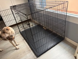 Jaula para Perros XL plegable