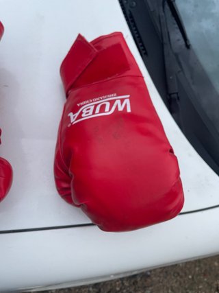 Guantes de Boxeo Rojos Wuba