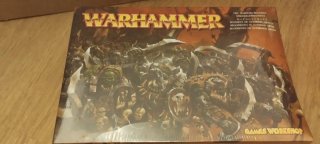 Warhammer Regimiento de Guerreros Orcos