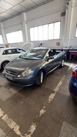 Peugeot 307 2003