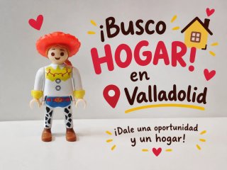 Figura Playmobil Jessie Disney
