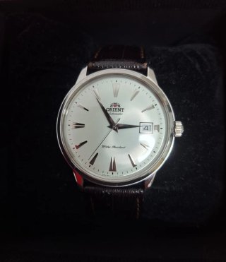 Reloj Orient Bambino Automático
