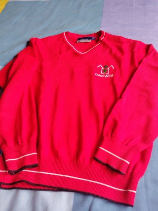 Jersey Colegio AYS Rojo Talla 10