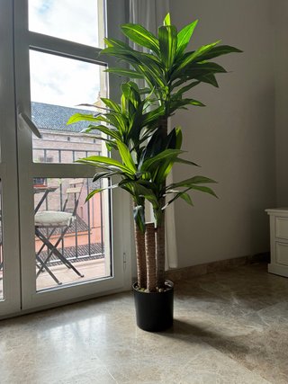 Palmera Artificial Decorativa