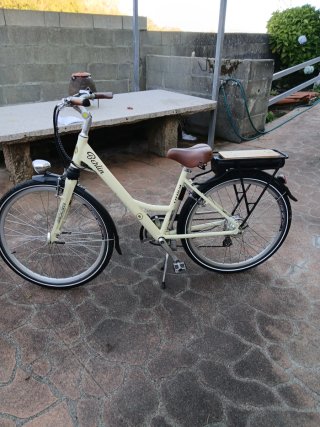 Bicicleta Eléctrica Littium Berlin