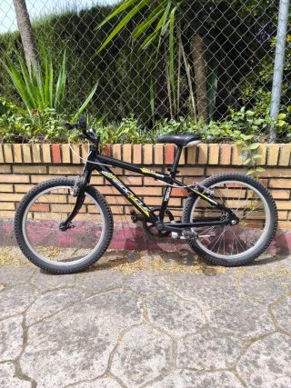Bicicleta Infantil Juvenil Biocycle Replay 20'