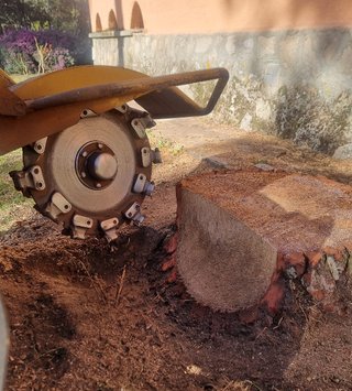 Servicio de destoconado