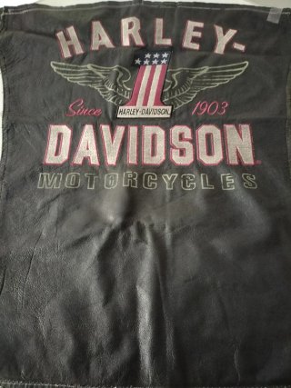 Parte trasera de chaqueta Harley-Davidson