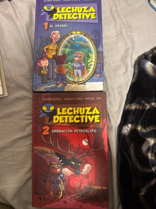 Libros lechuza detective