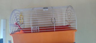 Jaula para Cobayas o Conejos