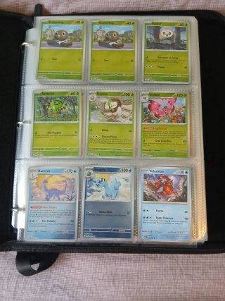 Colección de Cartas Pokémon