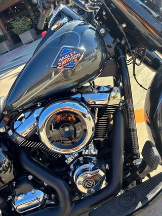 Harley-Davidson Heritage 117 Iron Horse Metallic