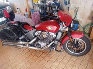 Indian Scout