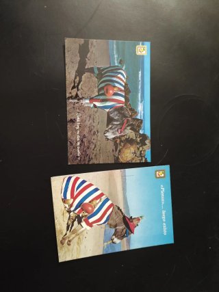 2 Postales Graciosas con Burros