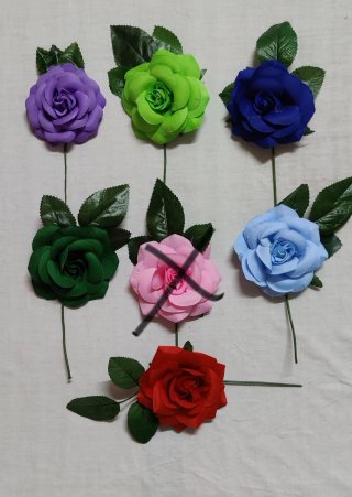 FLORES FLAMENCA. NUEVAS.