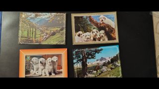 Set de 15 Postales de Andorra