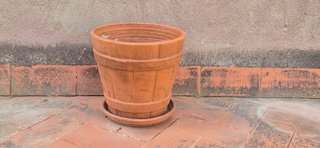 Maceta de Terracota con Plato