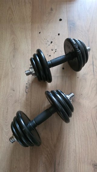 Juego de 2 Mancuernas de 5kg cada una