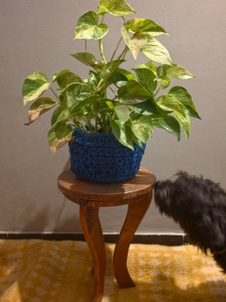 Taburete de madera vintage para plantas