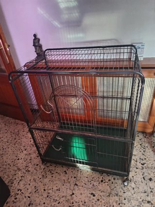 Jaula para Chinchilla con Complementos