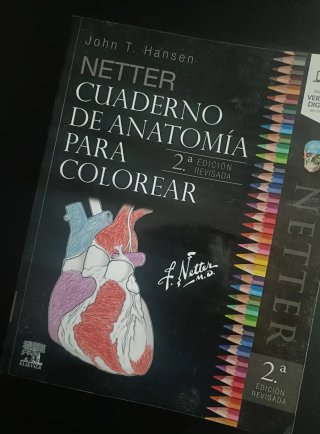 Netter, cuaderno de anatomía para colorear