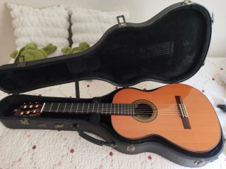 Alhambra 11P | Guitarra clásica + estuche rígido