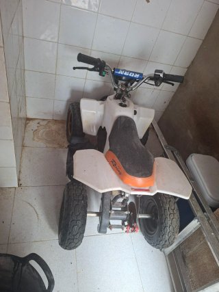 Quad eléctrico infantil 800w