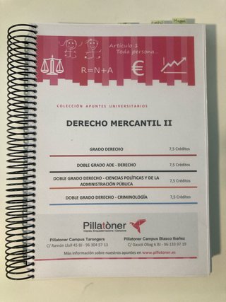 Derecho Mercantil II apuntes Pillatòner