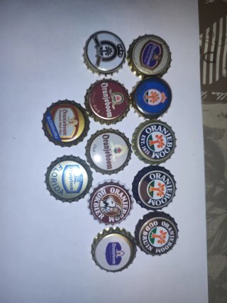 Lotto 12 Tazze da Birra Oranjeboom