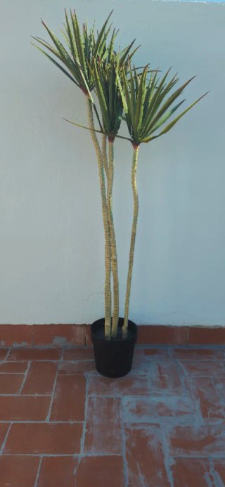 Planta Artificial Palmita Roja