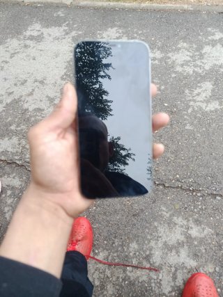 iPhone 12 Pro Max