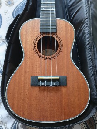 Ukulele con custodia