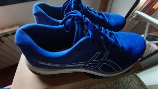 Zapatillas Asics Gel Pulse 12