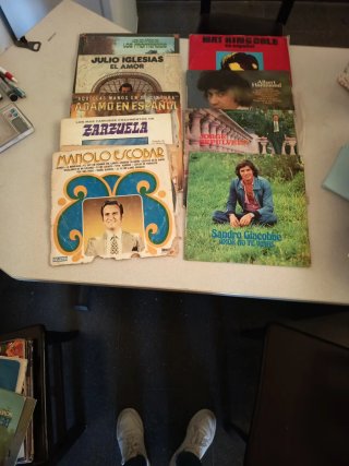 Lote de 9 Vinilos Antiguos