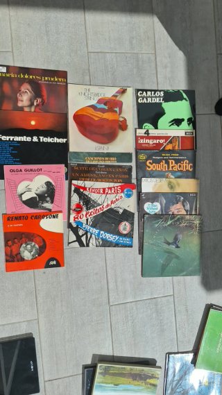 Lote de 12 Vinilos Variados