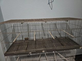 Jaula de cría de un metro gris