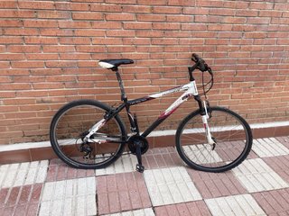 Bicicleta de Montaña