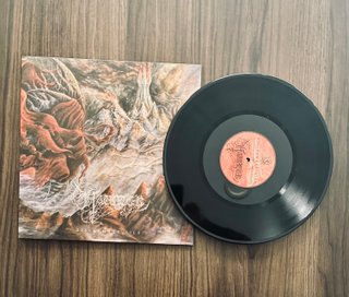 Haunter - Discarnate Ails LP