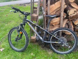 Bicicleta de Montaña 20 Pulgadas