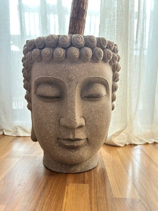 Maceta Cabeza de Buda