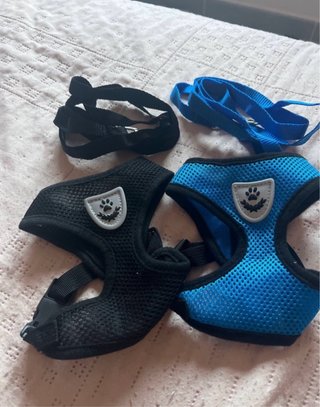 Arnés para gato