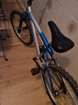 Bicicleta Infantil para 8 años tipo BMX