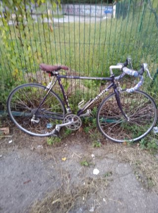Bicicleta de carretera clásica Olmo