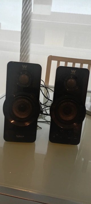 Altavoces Woxter Big Bass 95