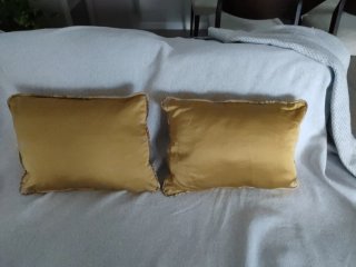 Set de 2 Cojines Rectangulares de Seda Dorados