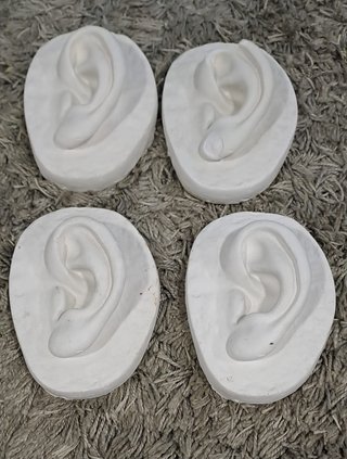 Modelos anatómicos/artísticos de orejas escayola