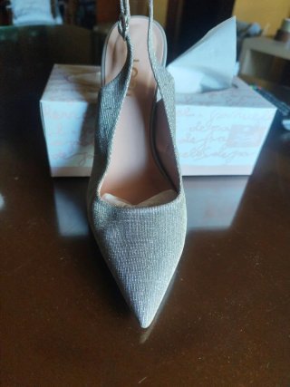 Zapatos Lodi Plateados