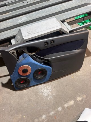 Paneles de puerta Ford Focus ST
