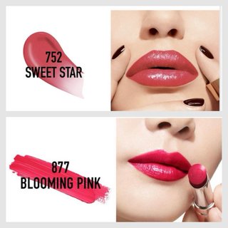 2 Barras de Labios Dior Addict 752 y 877
