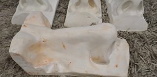 Modelos anatómicos/artísticos de nariz escayola
